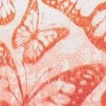 raspberry sorbet ombre butterfly