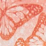 raspberry sorbet ombre butterfly