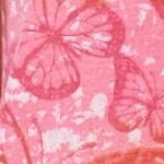 raspberry sorbet ombre butterfly