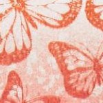 raspberry sorbet ombre butterfly