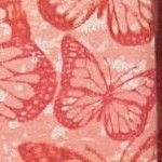 raspberry sorbet ombre butterfly