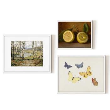 Americanflat 3 Piece Vintage Gallery Wall Art Set - Butterflies I, Birch Tree Landscape, Lemon Still by Maple + Oak