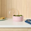 2pc Food Storage Bowl with Vented Lid - Room Essentials™ - 2 of 3