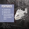 SCS Direct Piranha Fish Skeleton Decoration (2 Pack) 10" Long - Weather Resistant for Indoor/Outdoor - Upgrade Your House Party Props, Sea Life Decor - 3 of 4