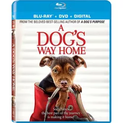 A Dog's Way Home (Blu-ray + DVD + Digital)