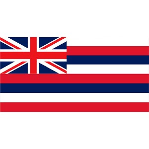 Halloween Hawaii State Flag - 4