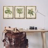 Stupell Industries Les Palmiers Botanical Trio, 17" x 21" - 2 of 4