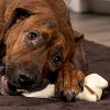 Pet Factory American Beefhide Bone - 12", 1 Count - 3 of 4