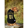 Mlb Pittsburgh Pirates Pets First Pet Baseball Jersey - Black Xl : Target