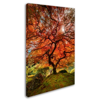 Trademark Fine Art - Moises Levy The Tree Vertical Matted Framed Art