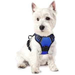 rabbitgoo Dog Harness No Pull with 2 Leash Clips, Control Handle for Puppy, Dazzling Blue,XS - 1 of 1