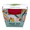 Buzzy Seeds 5.5" Plastic Grow Pot Parlor Palm - 3 of 4