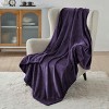 Cozy Comfort by Bedsure | Flannel Blanket Solid 260GSM Soft Fuzzy Plush Bed Blanket - 2 of 4