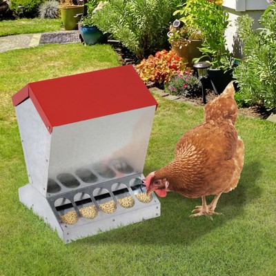 Automatic Pet Feeder Chicken Quail Poultry Bird Pheasant Feed Water Tool 30FHPP 