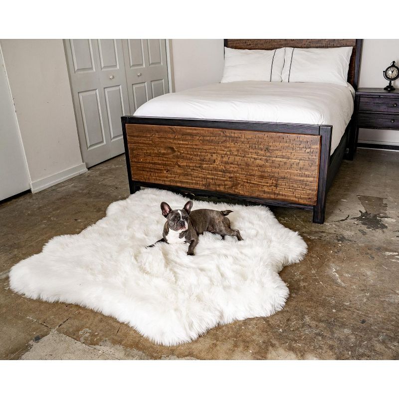 Paw Brands PupRug Animal Print Memory Foam Dog Bed, 2 of 10