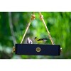 Bird Choice Small Modern Farmhouse Hanging Platform Tray Bird Feeder 2.5" Black - 4 of 4