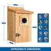 Racxily 2pcs Pine Bird Houses with Copper Guard - Outdoor Nesting Boxes for Small Birds, Durable Wood, Easy Assembly, Simple Style - 2 of 4