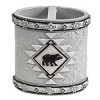 Park Designs South Western Toothbrush Holder - 3 of 4