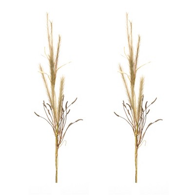 Melrose Foxtail Grass Spray (Set of 2)
