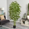 Nearly Natural 6-ft Bamboo Tree UV Resistant (Indoor/Outdoor) - 4 of 4