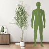 Olive Trees Artificial Indoor, Tall Faux Olive Tree with White Tall Planter, Artificial Plants with Natural Wood Trunk - 3 of 4