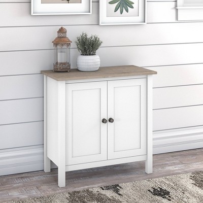 Bush Furniture Fairview Small Storage Cabinet with Doors and Shelves Shiplap Gray/Pure White