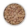 Purina ONE Smart Blend Wet Dog Food - 13oz - 2 of 4