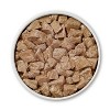 Purina ONE Smart Blend Wet Dog Food - 13oz - image 2 of 4