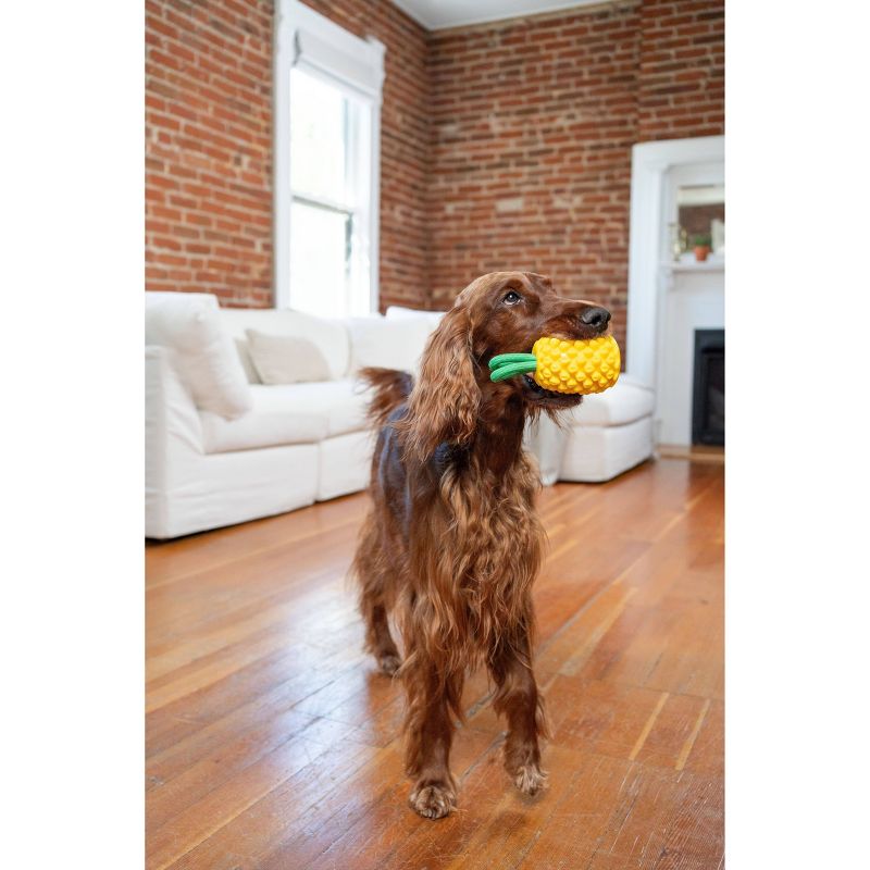Outward Hound Dental Pineapple Treat Stuffer Dog Toy, 4 of 5