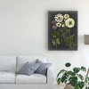 Trademark Fine Art -Naomi Mccavitt 'Bookplate Floral Ii' Canvas Art - 3 of 4