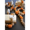 Kalalou Fall Harvest Garland – Halloween Pumpkins & Gourds, 72‑Inch Rustic Style - 2 of 4