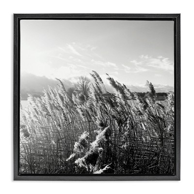 Stupell Industries Tall Grass Lake Water Landscape, 18" x 18"