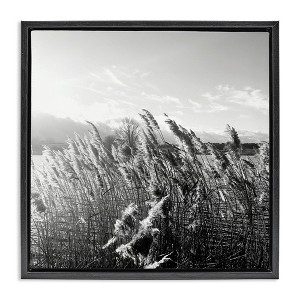Stupell Industries Tall Grass Lake Water Landscape, 18" x 18" - 1 of 4