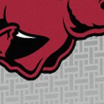 arkansas razorbacks