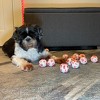 Midlee Valentine's Hearts Dog Tennis Balls- Mini- Fetch Gift Small - 4 of 4