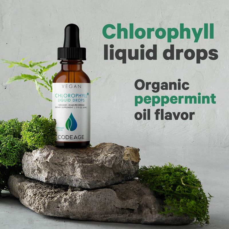 Codeage Chlorophyll Liquid Drops, Vegan Peppermint Oil - Herbal Cleanse Supplement - 60 ml, 4 of 15