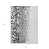 Gray Silver And Charcoal Abstract Washable Indoor Outdoor Area Rug - 3 of 4