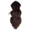 Aurora Large Eco Hugs Sea Otter Eco Nation Eco-Friendly Stuffed Animal Brown 14.5" - 4 of 4