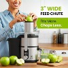 Unleash Real Juice Power: Eurolux 800W TurboJet Juicer—Whole Fruit, 5 Speeds, Easy Clean, Stainless - 4 of 4