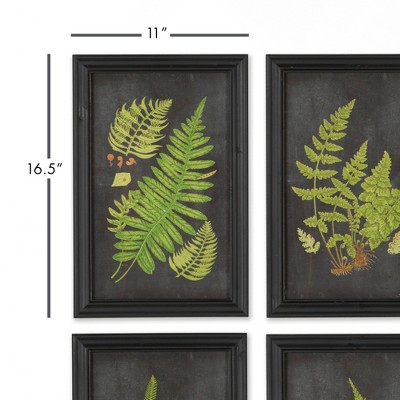 Set of 9 Framed Fern Botanical Prints with Black Background