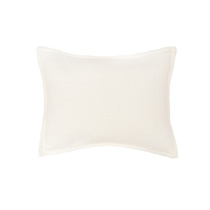 EY Essentials 20" x 26" Pernille Ivory Cotton Standard Sham - Machine Washable - 1 of 4