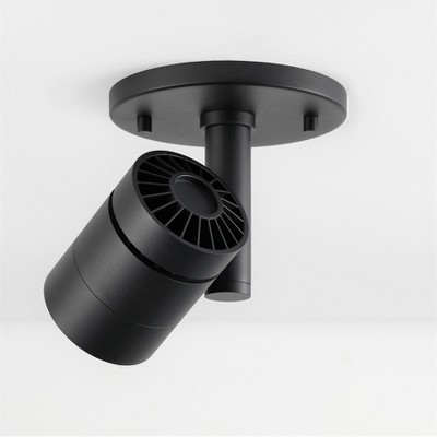 Black Adjustable LED Flush Mount Spotlight with Aluminum Shade