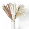 Kitcheniva Pampas Grass Natural Dried Reed Flower Bunch 60 Pcs - 4 of 4