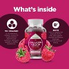 Hydrolized Collagen + Biotin Gummies, Pure Collagen Supplement for Healthy Hair Growth, Glowing Skin & Nail Care, Raspberry Flavor, Phytoral, 90ct - 4 of 4