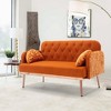 Comfy Upholstered Modern Velvet Loveseat Sofa for Living Bedroom Leisure Areas - 2 of 4