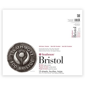 Strathmore 500 Series Bristol Paper Pad, 2-Ply, Plate Finish, 15 Sheet, 14x17 inch, 1 Count - 1 of 1