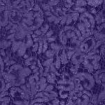 midnight violet