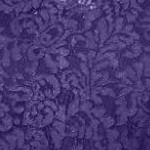 midnight violet