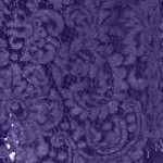midnight violet