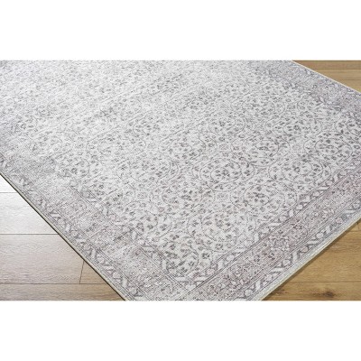Hauteloom Chayan Living Room, Bedroom Area Rug - Traditional